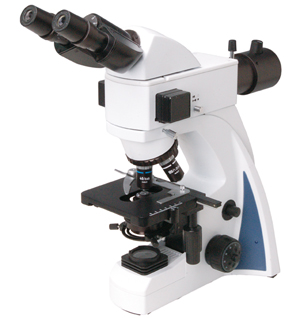 N-800M荧光、N-300M荧光显微镜