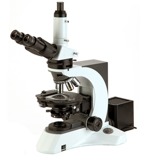 NP-800M Polarizing Microscope
