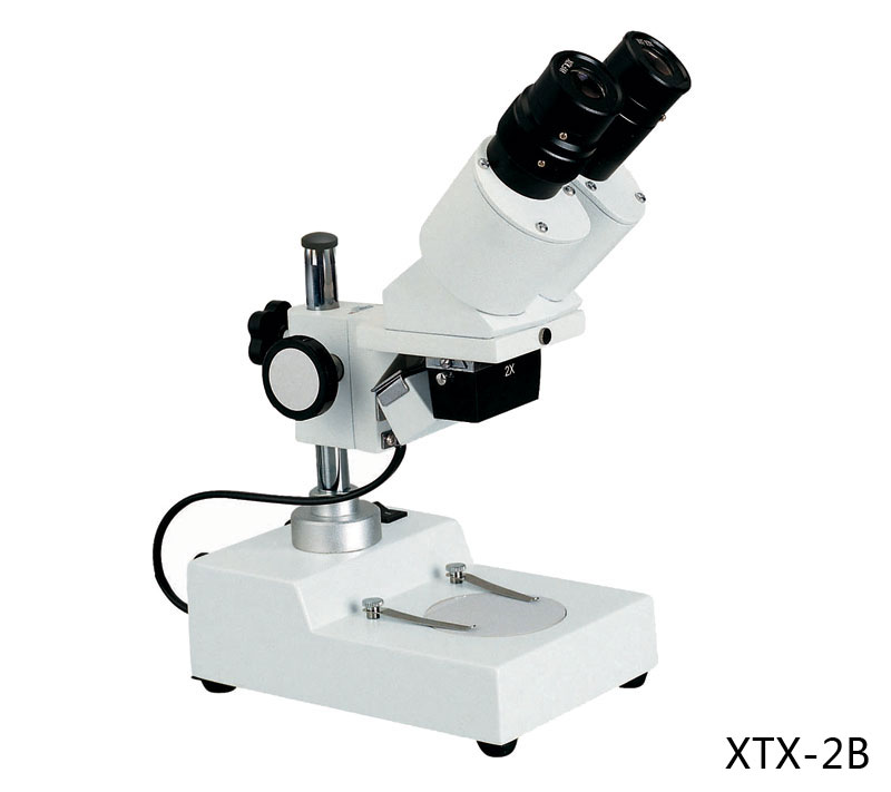 XTX-2 Series Series stereo Microscope