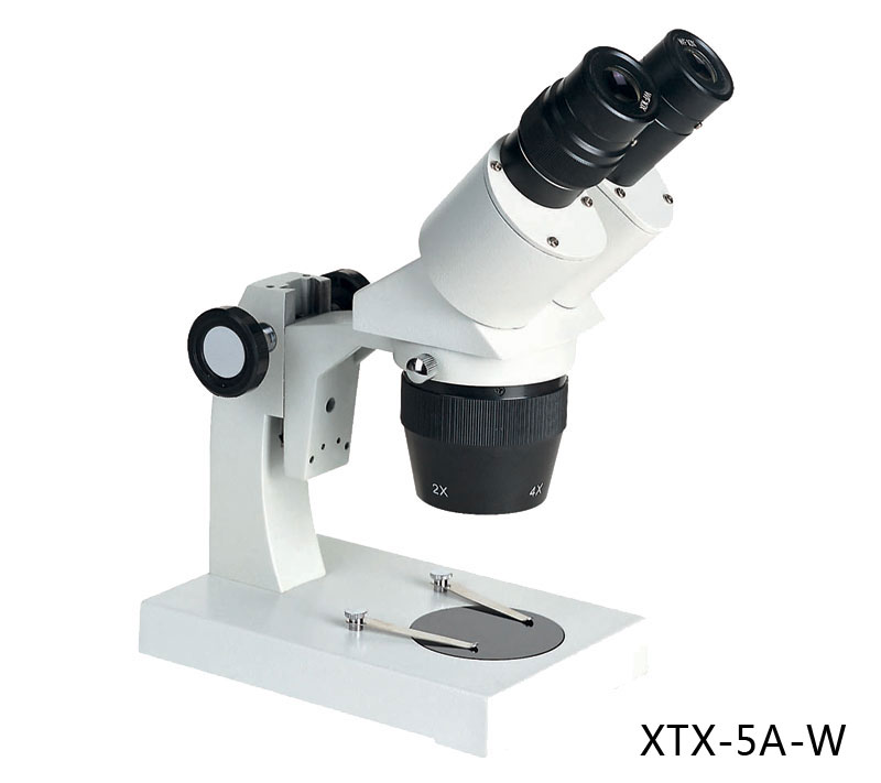 XTX-5 Series stereo Microscope