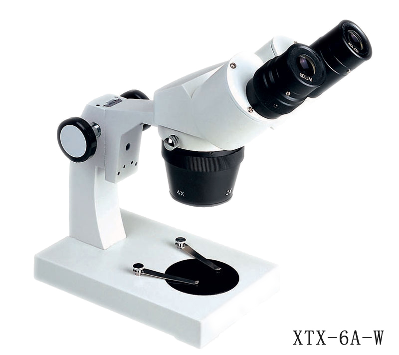 XTX-6 Series stereo Microscope