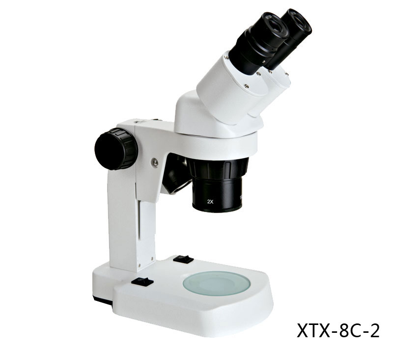XTX-8 Series stereo Microscope