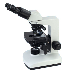 BM-300 serial biological microscope