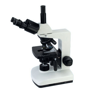 BM-300 serial biological microscope