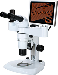 NSZ-800LCD体视显微镜