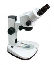 LBX体视显微镜